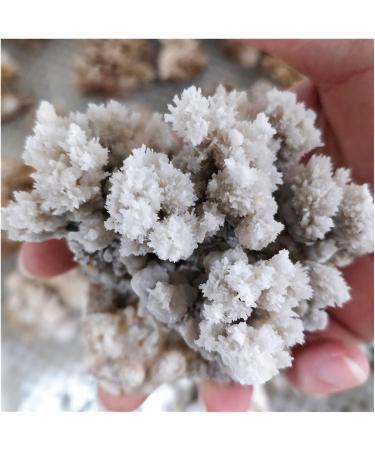 Natural Rough Crystalline Crystal Stone Zeolite Quartz Apophyllite Raw Rock Decorations Specimens Collection Bulk (Size : 600-750g) - Buy Online on GoSupps.com