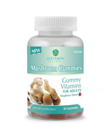 Best Earth Naturals Mushroom Gummy Vitamins Supplement for Energy & Clarity - Immune Support Gummies w/Lion's Mane Reishi Cordyceps & More - 30 Gummies (30-Day Supply) Mushroom Gummies