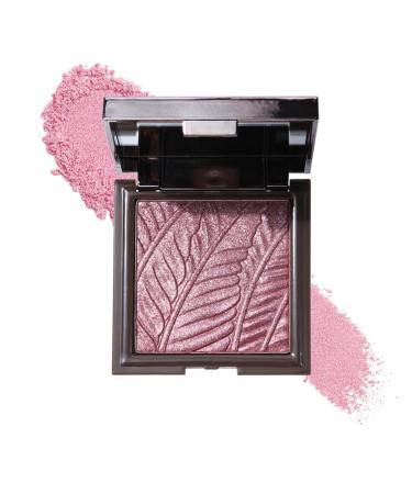 Powder Highlighter Palettes for Face Bronzer Makeup