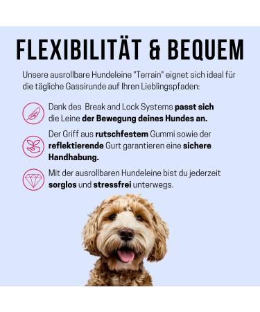 High-Quality 5m Roll-Out Dog Leash for Large Dogs up to 50kg | Comfortable Soft Handle & Reflective Belt | Durable Blue with Break & Lock System - Buy Online on GoSupps.com