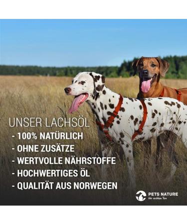 Pets Nature Salmon Oil for Dogs Cats & Horses - 1L Premium Omega 3 & 6 Fish Oil - Buy Online on GoSupps.com