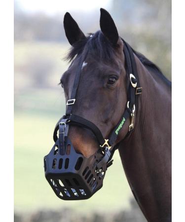 GREENGUARD Shires Anti Grazing Muzzle With Straps Full (Horse) Size - Buy Online on GoSupps.com