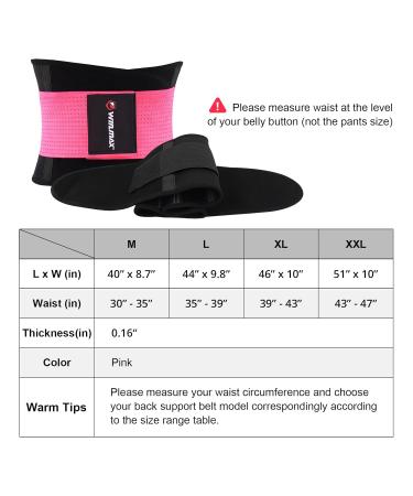 Back Brace for Lower Back Pain Relief for Women Back Support Belt with 4 Stays for Heavy Lifting Breathable Lumbar Support (XX-Large) - Buy Online on GoSupps.com