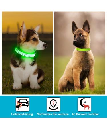 KOSKILL LED Dog Collar - Waterproof & Adjustable USB Rechargeable Bright Green for Small Dogs - Safe & Reflective Design - Buy Online on GoSupps.com