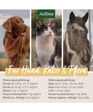 Aniforte Indian Psyllium Husks for Dogs Cats & Horses - 1kg Fiber-Rich Raw Food Quality Supplement - Buy Online on GoSupps.com