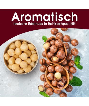 Sultan's Palace Macadamia Nuts 200g - Natural Raw Vegan Snack & Muesli Topping - Premium Quality - Buy Online on GoSupps.com