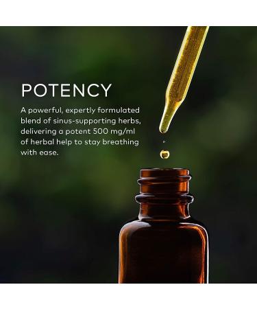 Gaia Herbs Sinus Comfort - Respiratory & Immune Support Supplement with Nettle, Peppermint & Holy Basil - 2 Fl Oz - Buy Online on GoSupps.com