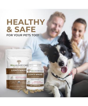 Lions Mane Brain and Focus Supplements - 120 Mushroom Extract Capsules for Cognitive Health - Non GMO & Gluten Free - Buy Online on GoSupps.com