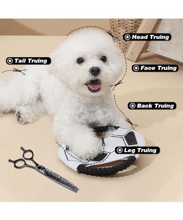 Jason 7 Inch Thinning Scissors for Dogs & Cats - Japanese 440C Stainless Steel Ergonomic Professional Fur Scissors 23 Teeth Chunker - Buy Online on GoSupps.com