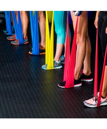 Original Therma Band Set - 4 Gymnastics Fitness Bands (2.5m) for Exercises & Physiotherapy | Includes Training Plan - Green Yellow Red Blue - Shop Now! - Buy Online on GoSupps.com