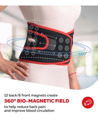 MAXAR Airprene Sports Back Brace - 18 Powerful Magnets Breathable Support Belt for Lumbosacral Pain Relief Heavy Lifting & Lower Back Support - XXL XX-Large - Buy Online on GoSupps.com