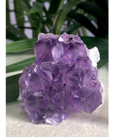 Amethyst Quartz Cut Base Purple Amethyst Specimen Uruguay Raw Stones and Minerals Stone Mineral Specimen - Buy Online on GoSupps.com