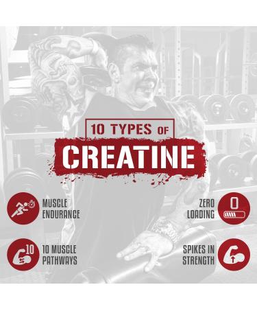 Rich Piana 5% Nutrition CreaTEN 10 Creatine Blend - Muscle Gain Powder for Power, Strength, Endurance, and Recovery - 9.52 oz (30 Servings) - Push Pop Flavor - Buy Online on GoSupps.com