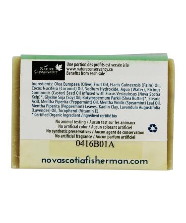 Buy Fundy Clay And Mint Soap - 136 GR | Natural Skincare for Healthy Skin | International Shipping Available - Buy Online on GoSupps.com