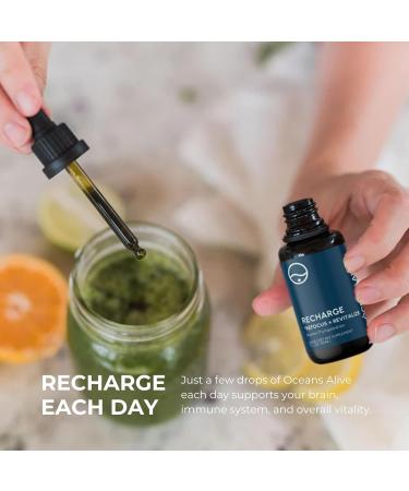 Activation Products Oceans Alive Marine Phytoplankton Brain Supplement 30ml - Enhances Memory, Focus, Energy for Men and Women - Buy Online on GoSupps.com