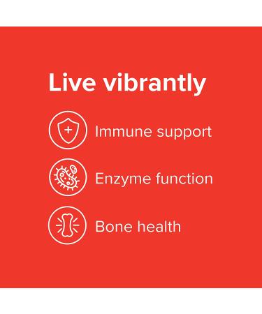 Vibrant Health Krebs Zinc 60 Vegetable Capsules - Immune Support & Vitality - Buy Online on GoSupps.com