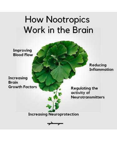 Palo Nutrition Brain Booster - Focus, Memory & Clarity - Ginkgo Biloba, Bacopa Monnieri, Ashwagandha & Turmeric - Gluten Free Nootropic - Buy Online on GoSupps.com