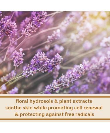 Solluna Feel Good Cleanser by Kimberly Snyder - pH Balanced Anti-Aging Facial Cleanser for Clear Youthful Skin | Deep Cleans Soothes & Moisturizes with Natural Oils & Plant Extracts - Shop Internationally - Buy Online on GoSupps.com