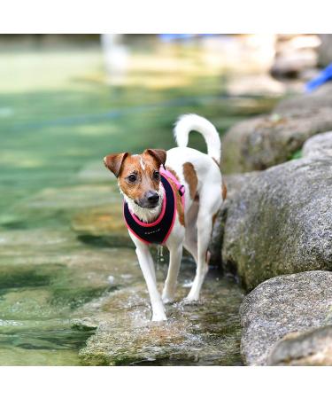 Puppia Soft Harness II - Comfortable Adjustable Dog Harness for Small & Medium Dogs - Navy Blue S - Buy Online on GoSupps.com