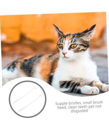 Angoily 2pcs Supplies Tools Cleaners Tooth Pets Teeth Manual Cat Portable Puppy Home Dog Care Soft-bristle 1 count (Pack of 1) White - Buy Online on GoSupps.com