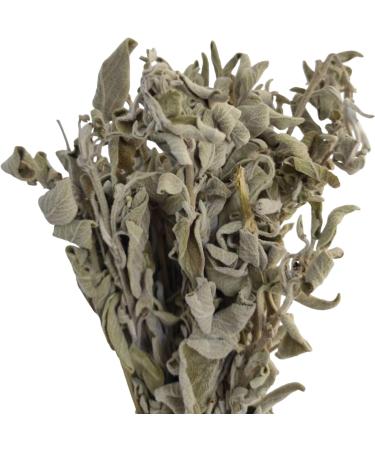 Wild Greek Sage Herbal Tea Whole Bunch Premium Quality 220g - 1.95Kg Salvia Triloba (950 grams) - Buy Online on GoSupps.com