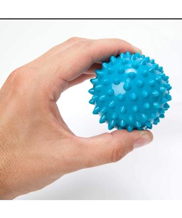 Doyoursports Igelball & Fascienball | 6cm Massage Ball for Neck Back & Feet | Spiked Acupressure Ball for Fascia Training | Violet Lacrosse Ball - Buy Online on GoSupps.com