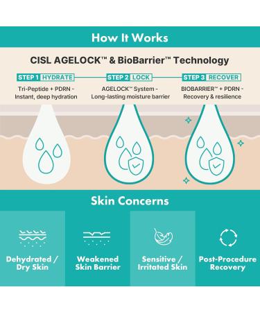 CISL SEOUL BIOBARRIER Recovery Capsule Cream Peptide night Cream - AGELOCK Hydration + PDRN & Triple Peptide Complex | 148-Hour Moisture Retention & Barrier Repair Cream | 50 ml 1.69 fl.oz. - Buy Online on GoSupps.com