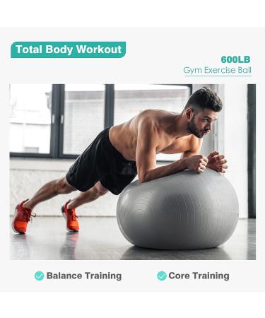 RITHIOX Exercise Ball Yoga Ball 26 Gray - Anti-Slip Stability Ball for Pregnancy Birthing, Anti-Burst Workout Ball with Quick Pump - Perfect for Office, Home, Gym - Buy Online on GoSupps.com