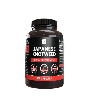 PURE ORIGINAL INGREDIENTS Japanese Knotweed (365 Capsules) No Magnesium Or Rice Fillers Always Pure Lab Verified 365 Count (Pack of 1)