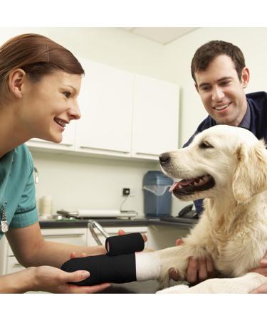 BQTQ 8 Rolls Cohesive Bandage 4 Inch - Self Adherent Sport Wrap Tape for Ankle Sprains & Swelling - Stretch Bandage Wrap for Humans and Animals - Black - Buy Online on GoSupps.com