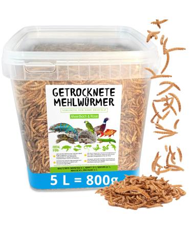 Flourworms dried 800g (corresponds to 5 l) dried mealworms in a practical bucket protein -rich snack for wild birds fish reptiles and rodents 5 kg (1 Pack) - Buy Online on GoSupps.com