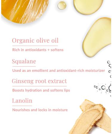 DHC Lip Cream 4 pack Ultra-Moisturizing Lip Balm (0.05 oz. Net wt. x 4) (4 pack 4 Count) 4 Count (Pack of 1) 4.0 - Buy Online on GoSupps.com