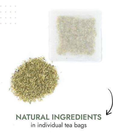  Alpi Nature Alpi Nature Organic Yarrow Tea 120 Tea Bags 120g (Pack of 6 x 20 Tea Bags of 1g each) - Buy Online on GoSupps.com