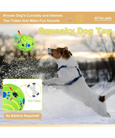 Buy Dauchgoe 3.46 Interactive Dog Ball Toy - Durable Water-Resistant Teeth Training Ball for Small & Medium Dogs - Ideal for Playtime - Buy Online on GoSupps.com