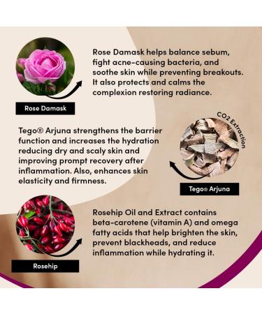 Urban Veda Reviving Day Cream | Anti-Aging Moisturizer for Women | Firming & Tightening | Plant-Based Retinol | Vegan & Cruelty Free | 1.7 Fl Oz - Ideal for Mature Skin - Buy Online on GoSupps.com