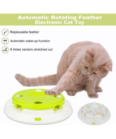 Pettom Interactive Cat Toy | Electric Butterfly Funny Exercise Toy for Kittens | Rotating Pop N Play Toy with Replacement Feathers | Green - Buy Online on GoSupps.com