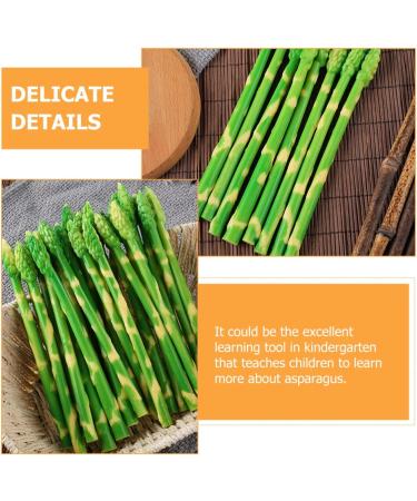 ifundom 50 Pcs Simulated asparagus ornaments food display show ornament kitchen food decor faux veggies Realistic vegetables artificial asparagus Educational Props pvc bouquet cupboard - Buy Online on GoSupps.com