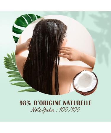  Lovea LOVEA - Hair Food - 3-in-1 Mask - Coconut Oil & Green Tea - Hydrates Softens & Detangles - Normal to Dry Hair - 98% Natural Origin - Silicone-Free - Vegan - Made in France - 390 ml - Buy Online on GoSupps.com
