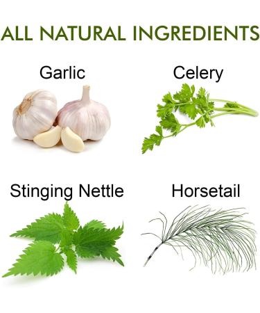 Reuma Art X Strength 400mg Herbal Supplements - Joint Pain Relief & Anti-inflammatory Support - 180 Veggie Capsules - Buy Online on GoSupps.com