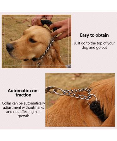 Durable Nylon Dog Collar and Leash Set | Heavy Duty Braided Training Leash for Small, Medium, Large Dogs - Purple - Buy Online on GoSupps.com