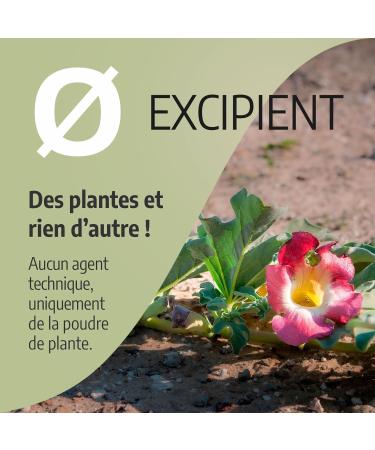 Organic Harpagophytum 330 mg - 200 capsules - Ecocert Certified - Orgaliane - Buy Online on GoSupps.com