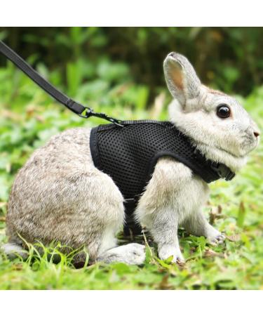 Adjustable Soft Rabbit Dishes & Elastic Leash for Small Animals | XL Black Pet Dishes & Walking Leash for Bunnies & Cats - Buy Online on GoSupps.com