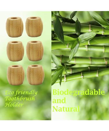 Pack of 12 Bamboo Toothbrush Holders - Biodegradable and Eco-Friendly - Buy Online on GoSupps.com