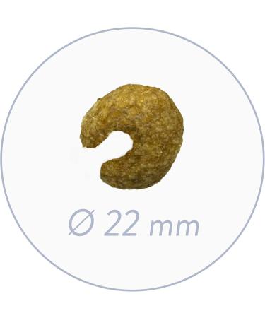 bosch Life Protection Concept | Sensitive Renal & Reduction | Dry food for nutritionally sensitive adult dogs | Reduced in protein and minerals | 1 x 11.5 kg - Buy Online on GoSupps.com