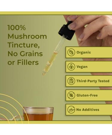 Naturealm Lion s Mane Mushroom Liquid Tincture Supplement Focus Memory & Brain Health Vegan Non-GMO Organic Fruiting Bodies 1 Month Supply Lion's Mane 1.69 Fl Oz (Pack of 1) - Buy Online on GoSupps.com