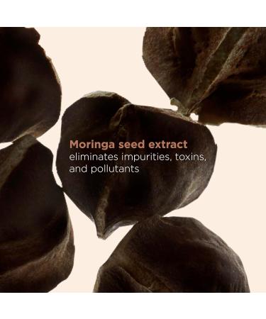 Clarins Exfoliating Body Scrub For Smooth Skin | Softens Smoothes and Nourishes| Preps Skin For Treatments To Follow | Non-Drying | All Skin Types | 6.7 Ounces - Buy Online on GoSupps.com