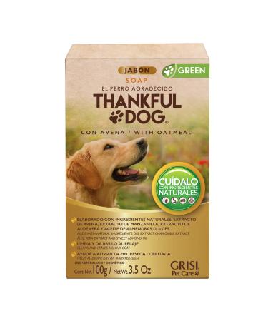 Soap Thankful Dog