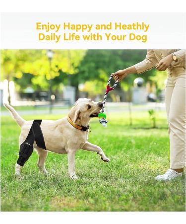 Dog Pet Knee Brace for Support with Cruciate Ligament Injury Joint Pain and Muscle Sore Better Recovery with Dog ACL Knee Brace Adjustable Rear Leg Braces for Dogs Knee Brace (Large) - Buy Online on GoSupps.com