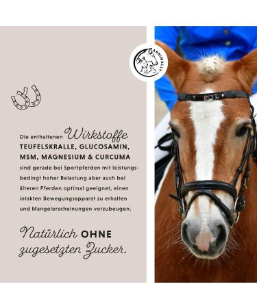 Annimally Joint Liquid for Horses 1000ml - Devil Claw Glucosamine & MSM for Joint Health - Liquid Supplement Alternative to Powder - Buy Online on GoSupps.com