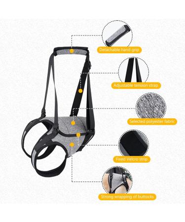 Dog Lifting Harness Dog Support Harness for Back Legs Dog Harness Medium Dog Sling for Back Legs with Lift Handle Adjustable Puppy Harness for Elderly Disabled Joint Injuries Canine Portable(Grey) - Buy Online on GoSupps.com